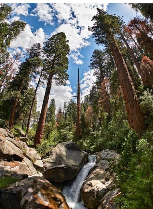 Sequoia Villa Visalia Luaran gambar