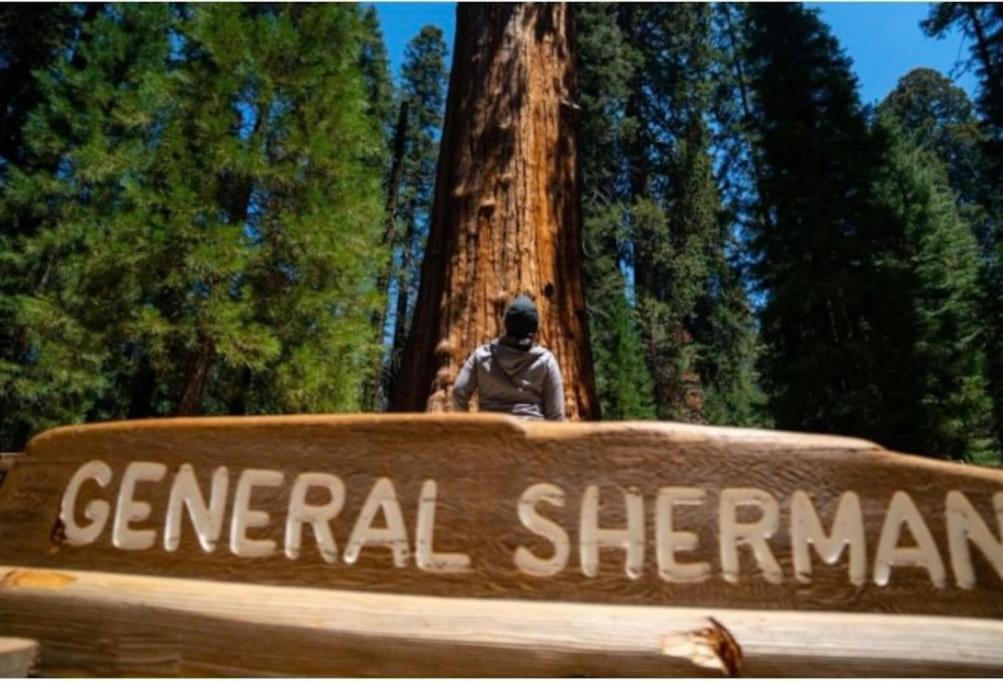 Sequoia Villa Visalia Luaran gambar