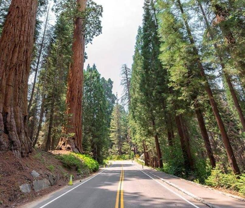 Sequoia Villa Visalia Luaran gambar
